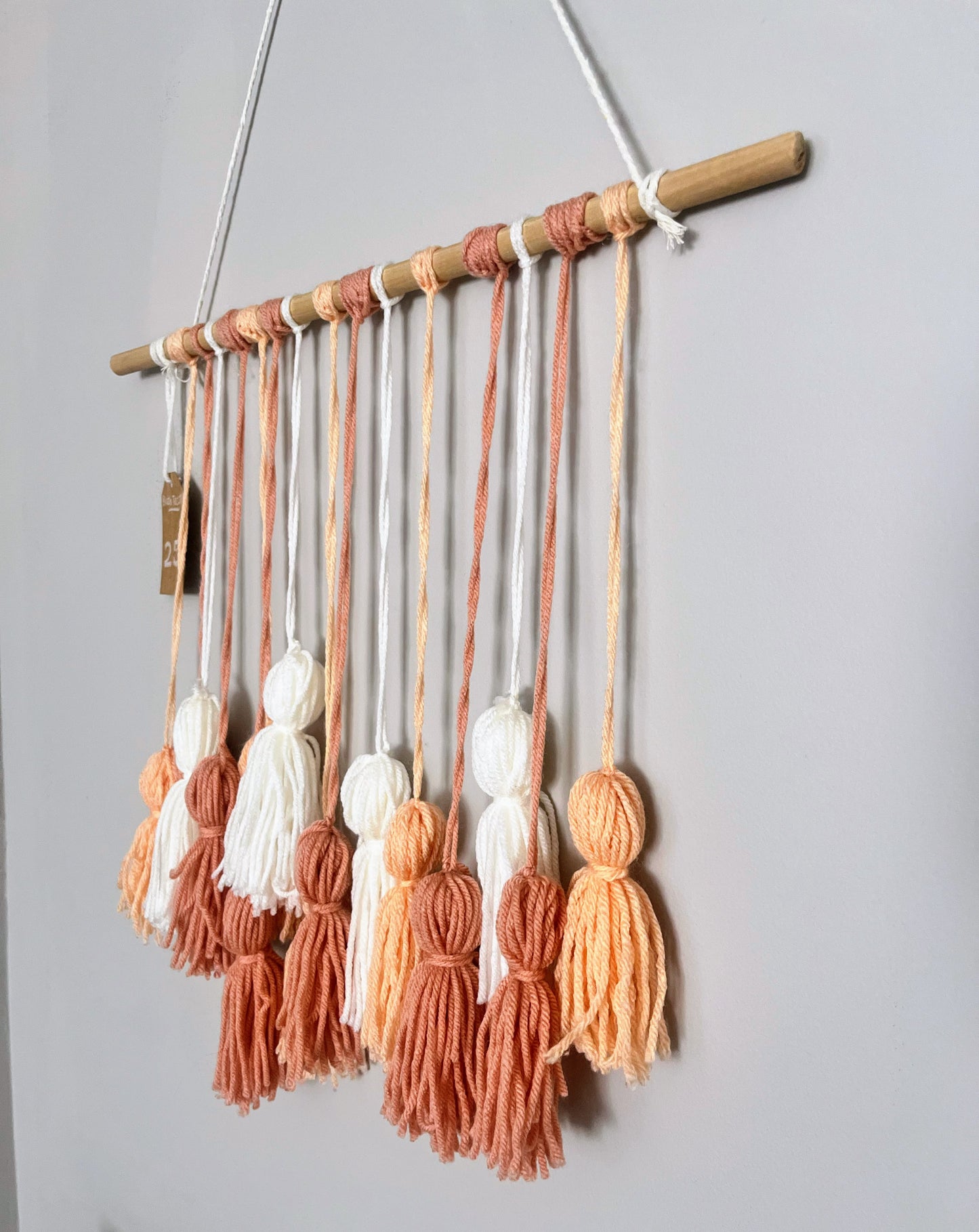 Peach Pink Tassel Wall Hanging