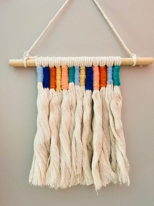 Southwest Color Wrap Mini Macrame Wall Hanging